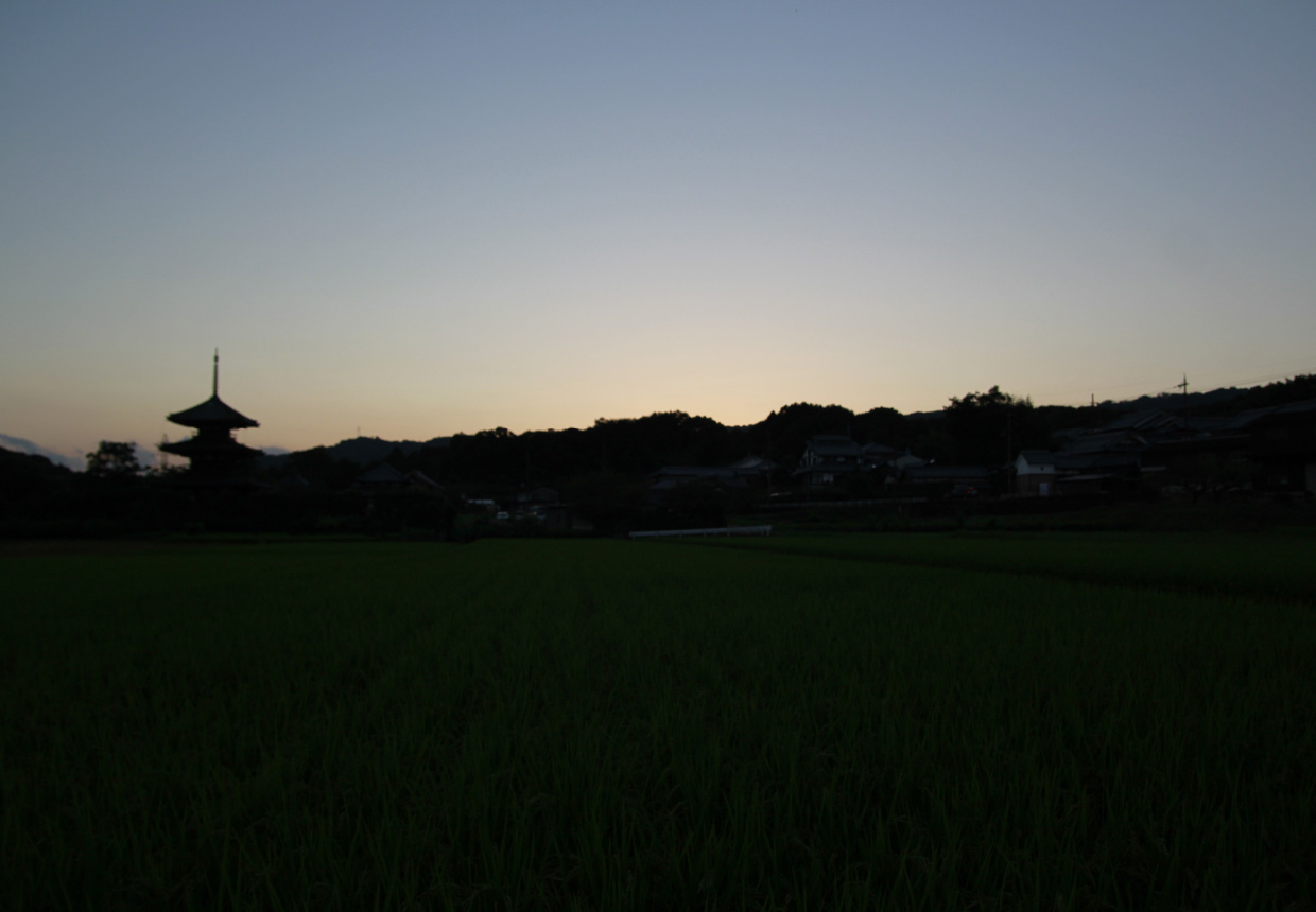 YOKOTA TAKEMI OFFICIAL WEBSITE