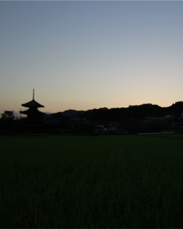 YOKOTA TAKEMI OFFICIAL WEBSITE