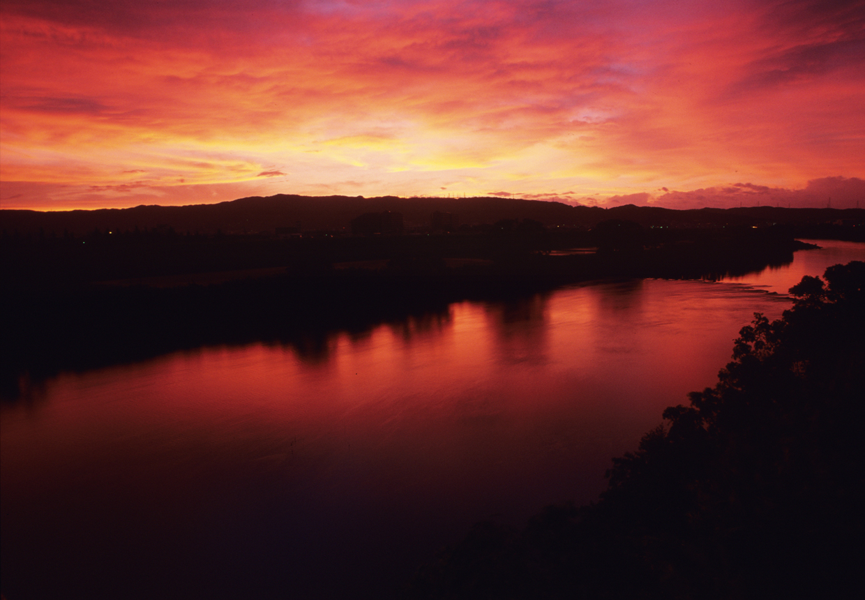 YOKOTA TAKEMI OFFICIAL WEBSITE