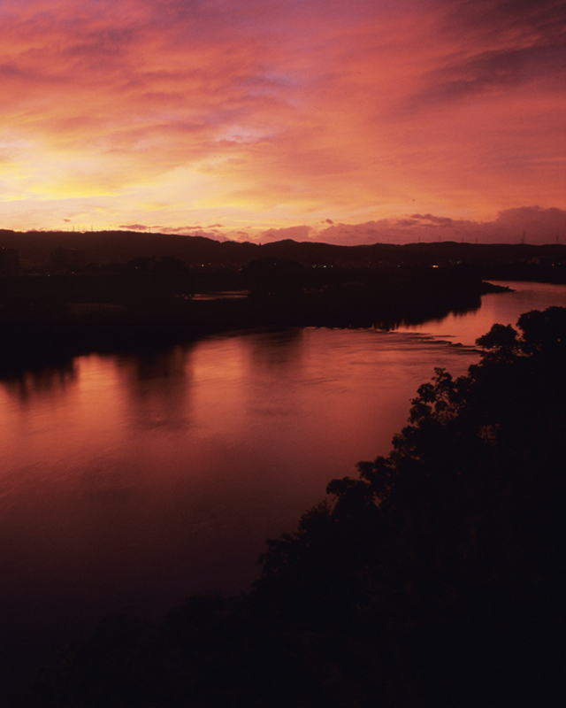 YOKOTA TAKEMI OFFICIAL WEBSITE