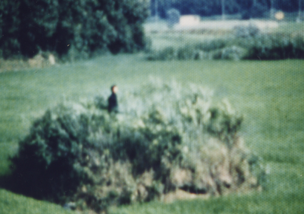 その夏の、どん