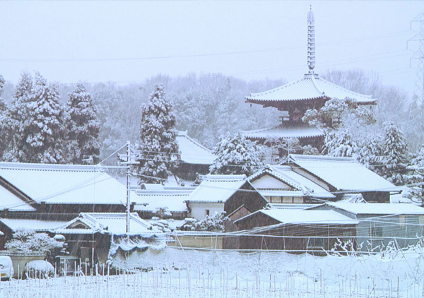 三塔周景 (2021, 12 minutes)