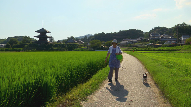 遺影、夏空に近く