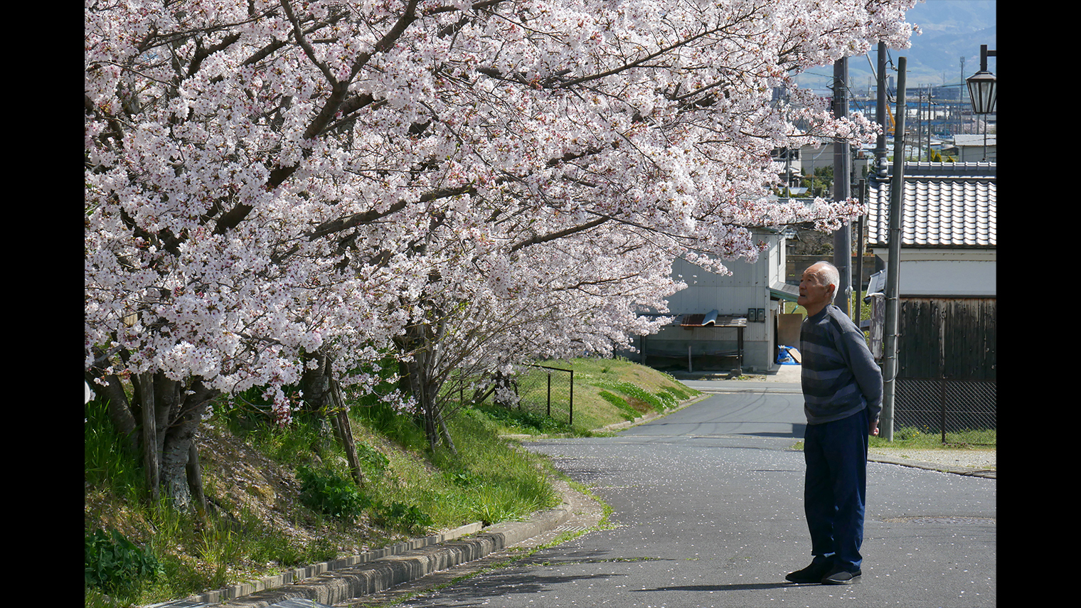 肩を寄せあって