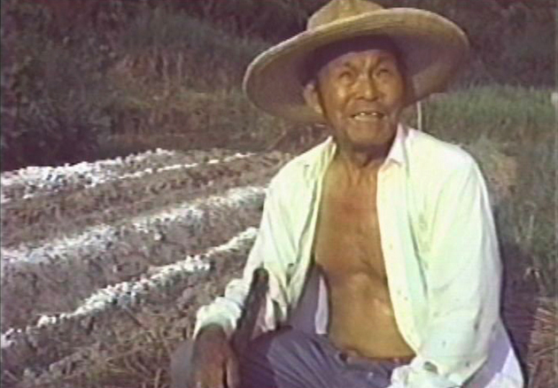 極楽寺、燃えた