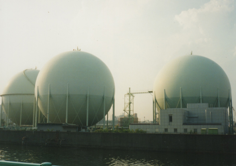 赤木カルタさんの夢